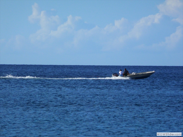 P1000484 P1000484