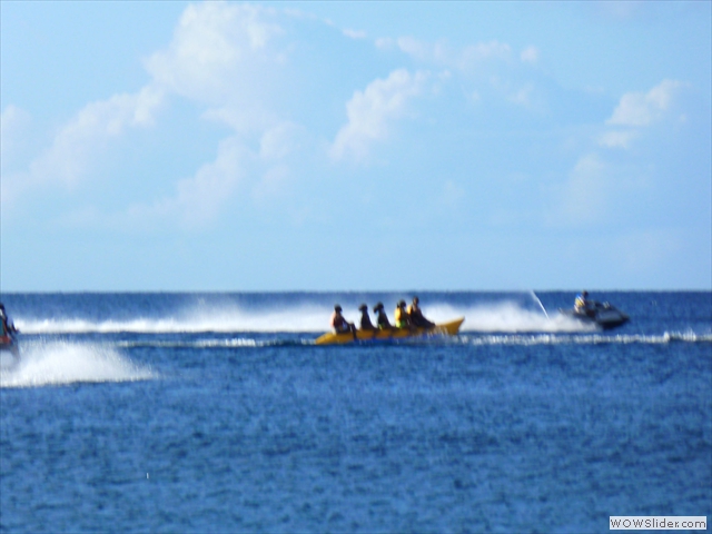 P1000485 P1000485